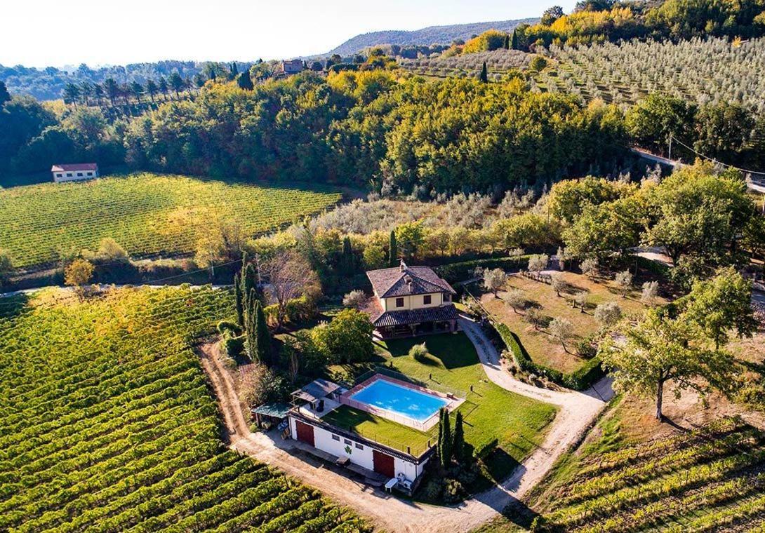 The Grapevine By Manvi Bed & Breakfast Montepulciano Exterior photo