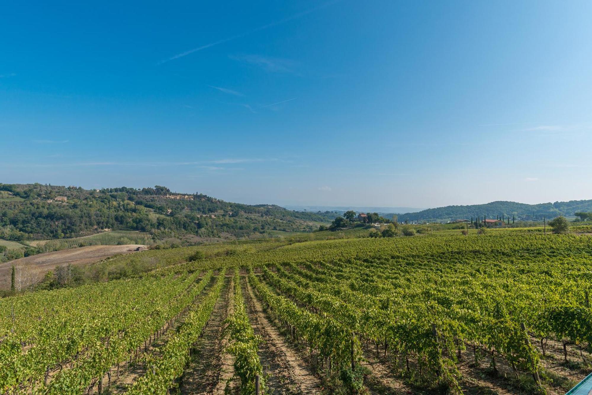 The Grapevine By Manvi Bed & Breakfast Montepulciano Exterior photo