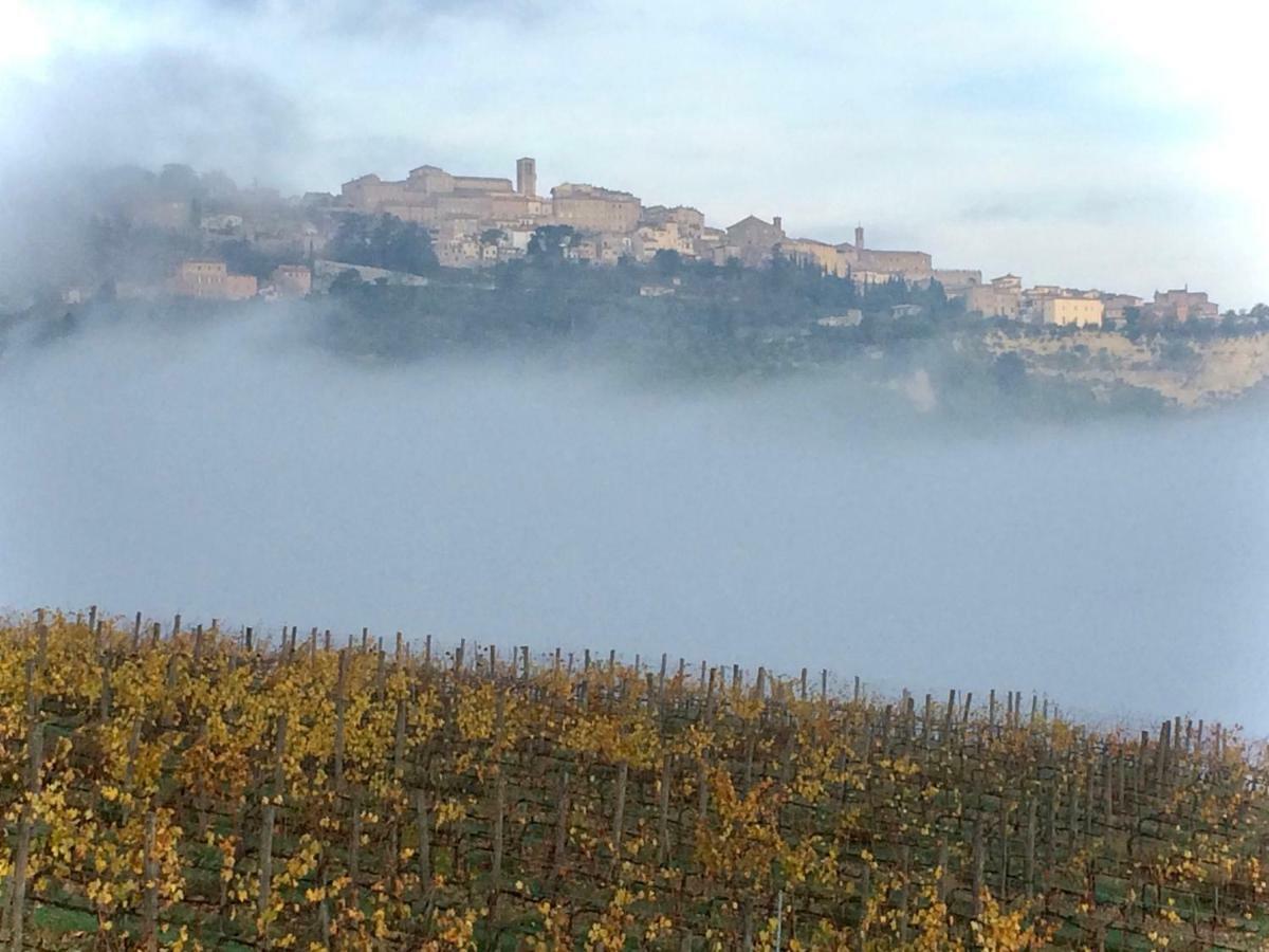The Grapevine By Manvi Bed & Breakfast Montepulciano Exterior photo