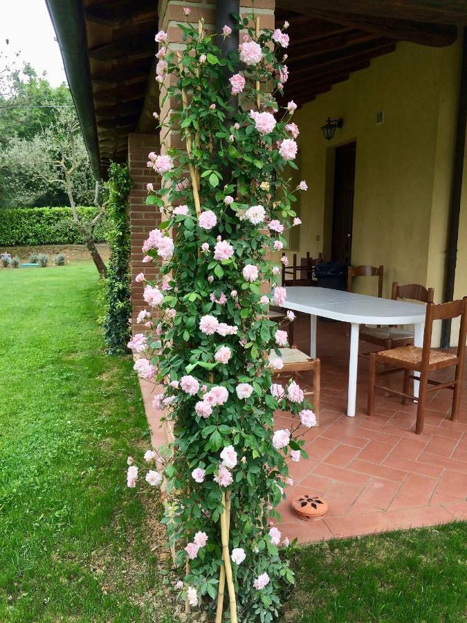 The Grapevine By Manvi Bed & Breakfast Montepulciano Exterior photo