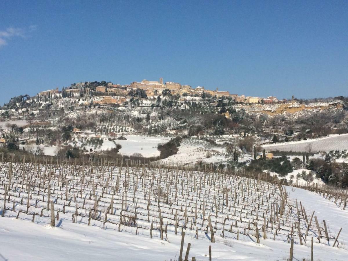 The Grapevine By Manvi Bed & Breakfast Montepulciano Exterior photo